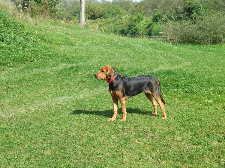 DSCF4490.JPG