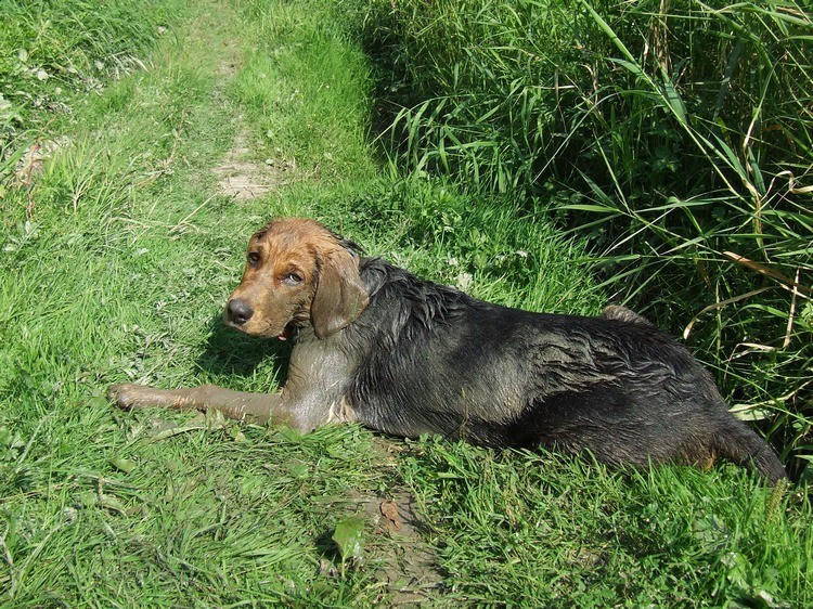 DSCF4496.JPG