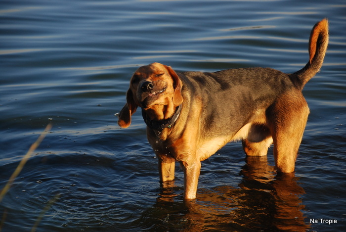 DSC_5759.JPG