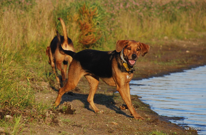 DSC_5768.JPG