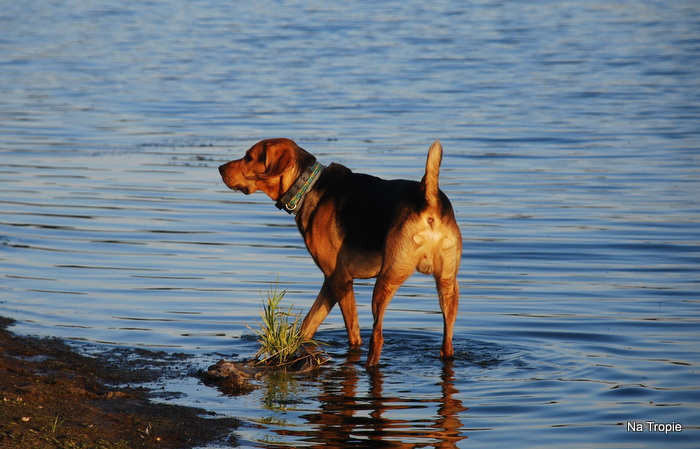 DSC_5777.JPG