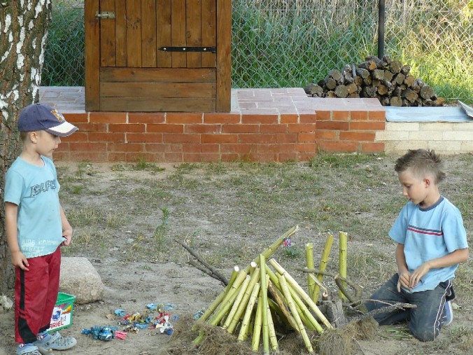 A NASI SYNKOWIE COŚ BUDUJĄ - JAK ZWYKLE - TYM RAZEM Z KORZENI I ŁODYG SŁONECZNIKA.jpg
