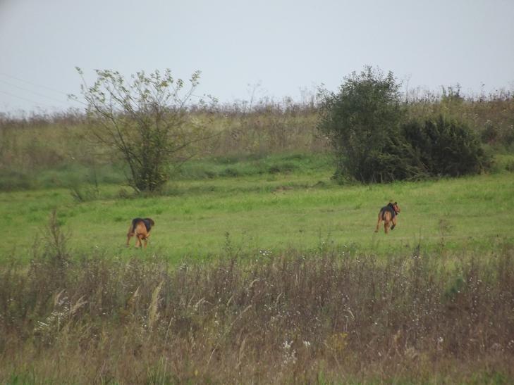 DSCF2864.JPG