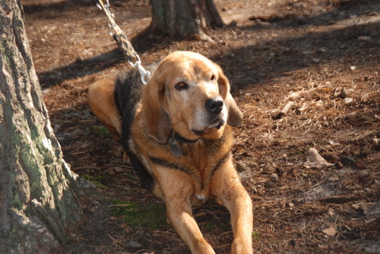 DSC_0034.JPG