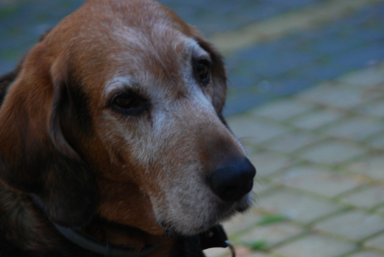 DSC_0043.JPG