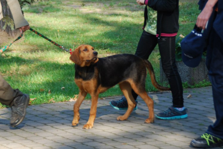 DSC_0118.JPG