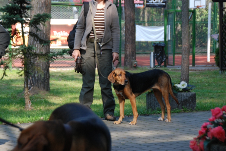 DSC_0130.JPG