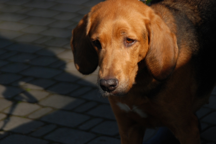 DSC_0141.JPG