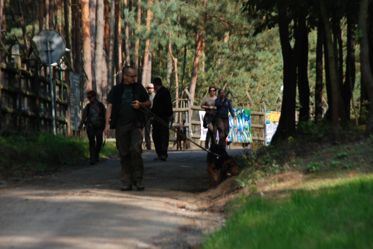 DSC_0182.JPG