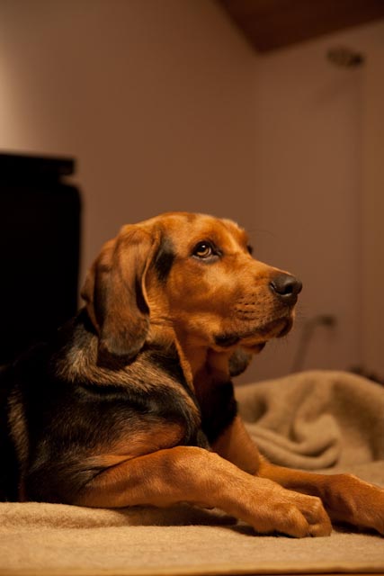 _MG_5161.jpg