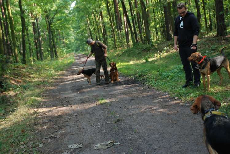 DSC_0206.JPG