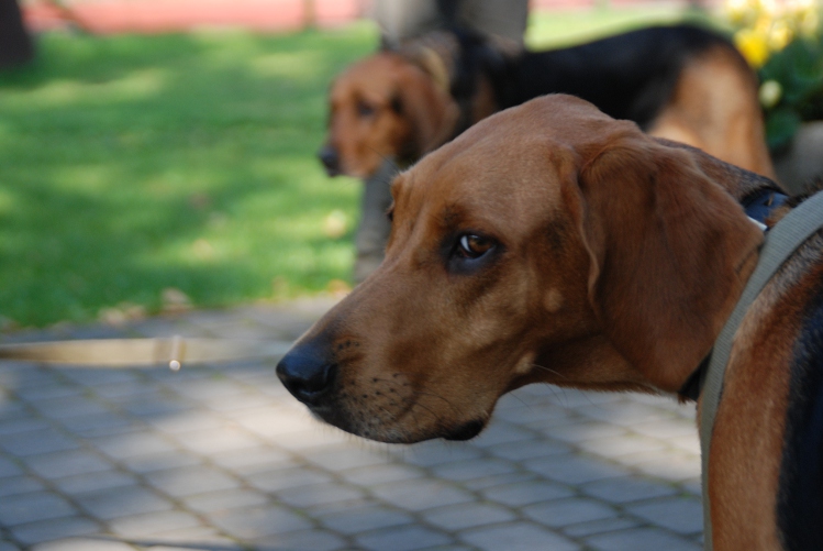 DSC_0138.JPG