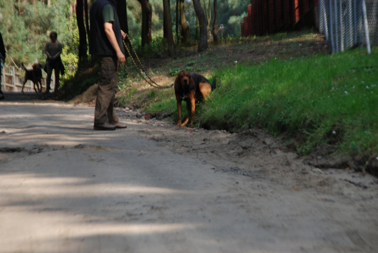 DSC_0183.JPG