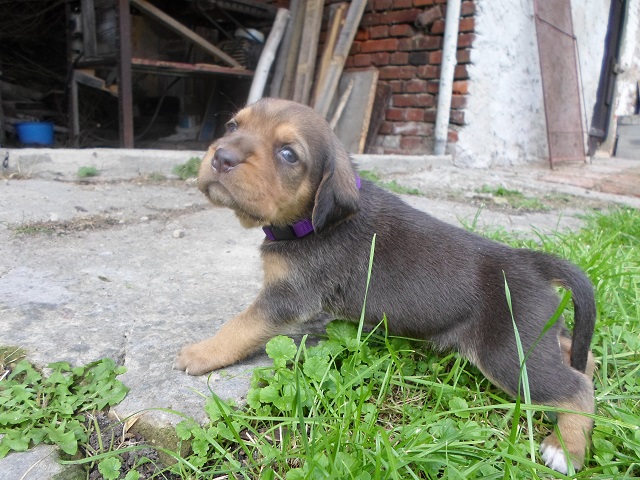 SAM_0408.JPG
