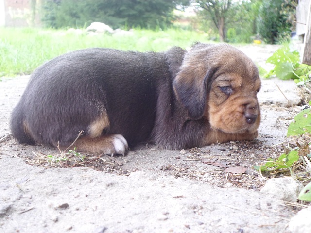SAM_0446.JPG