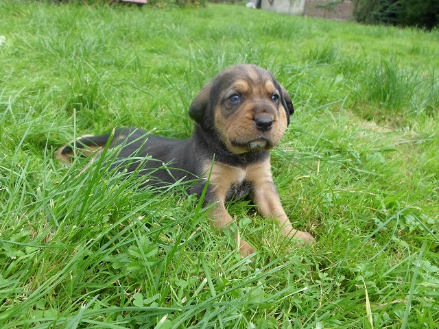 SAM_0509.JPG