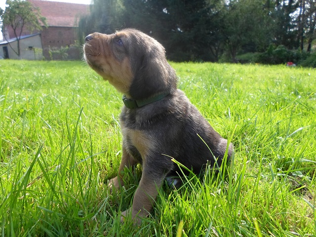 SAM_0364.JPG