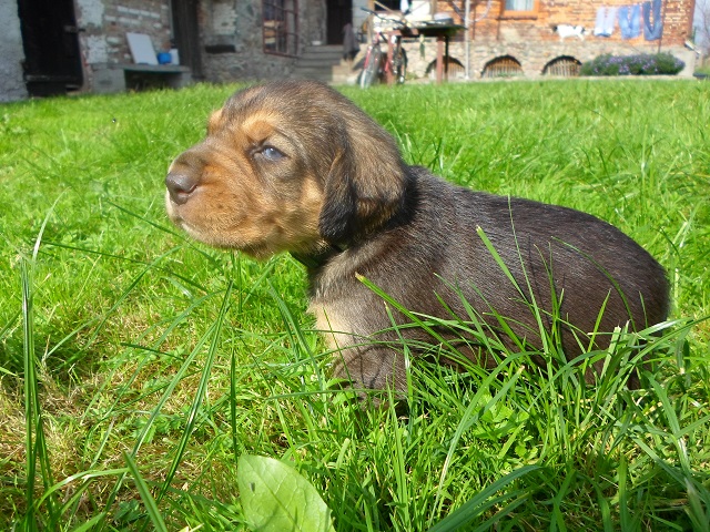SAM_0375.JPG