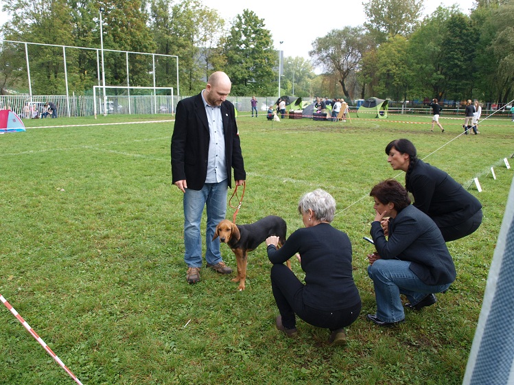 Tak to się mi jeszcze nikt nie przyglądał.