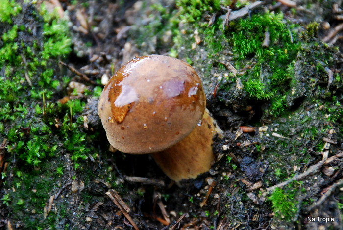 DSC_6090.JPG