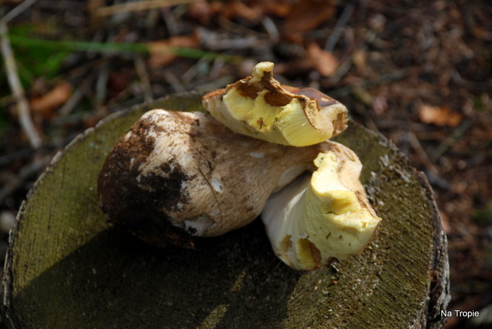 DSC_6102.JPG