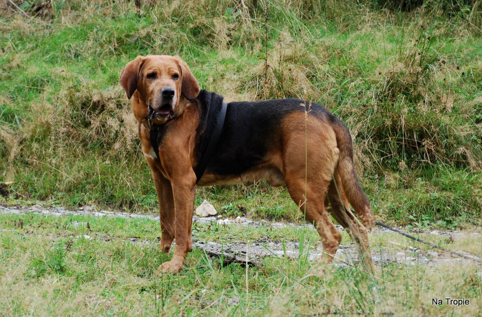 DSC_6106.JPG