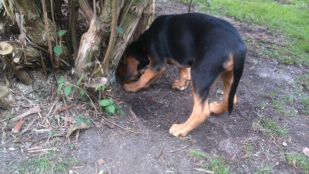 DSC_0154.JPG