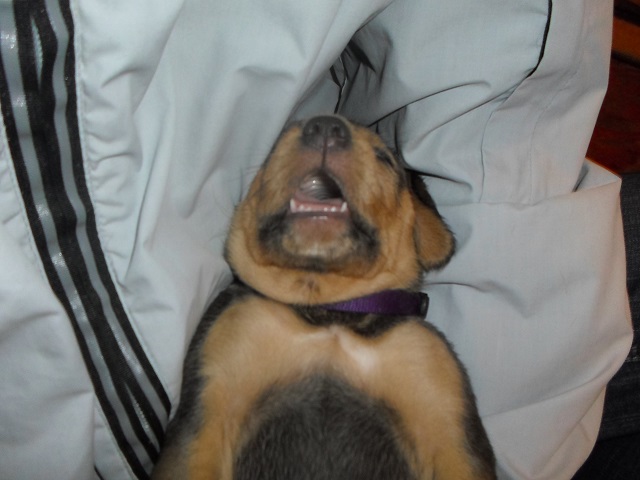 SAM_0563.JPG