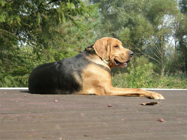 ZENEK IX 09 008.jpg