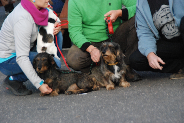 DSC_0044.JPG
