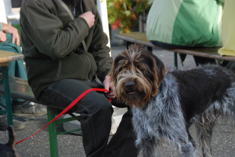 DSC_0083.JPG