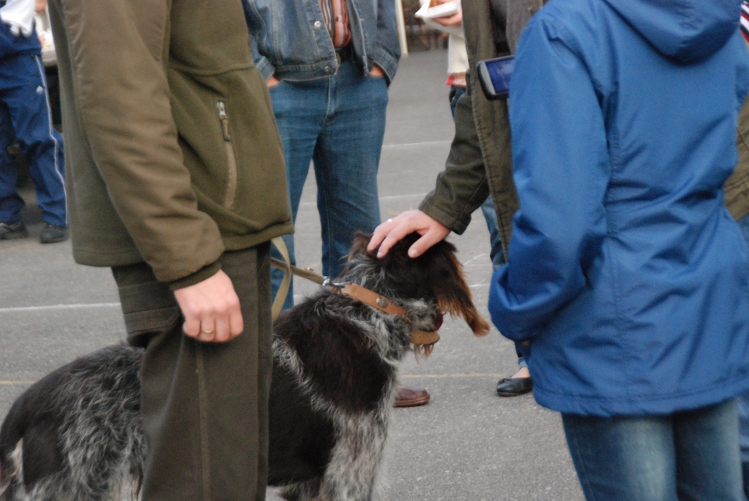 DSC_0038.JPG