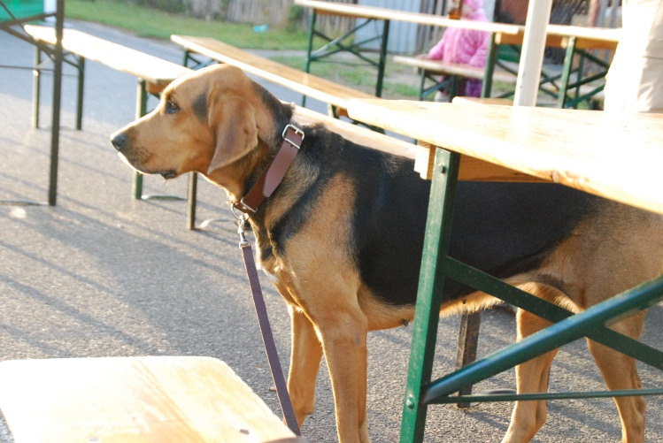 DSC_0140.JPG
