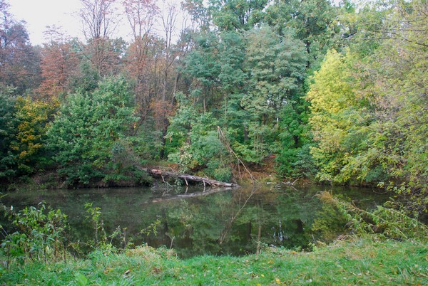 widok3.jpg