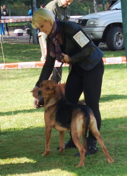 NORITA1.jpg