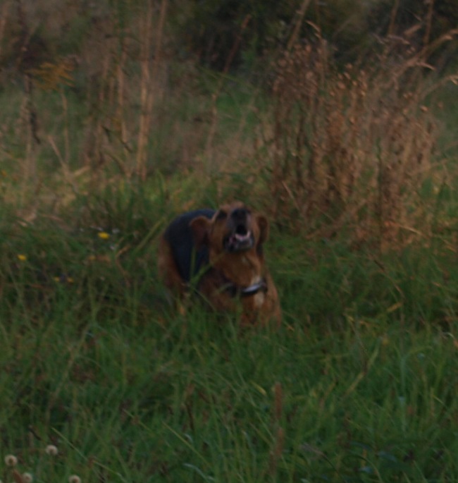 PA055530.JPG