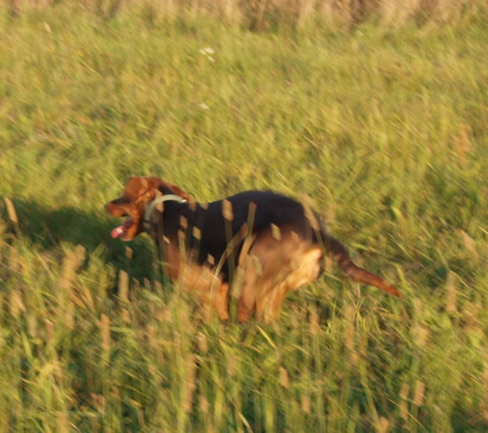 PA055537.JPG