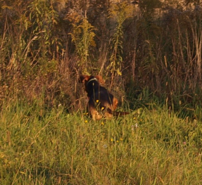 PA055540.JPG