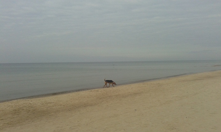 1 cała plaża dla mnie.jpg