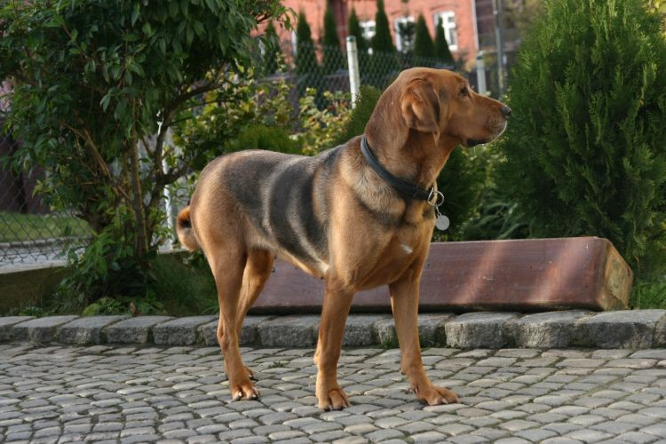 pozowanie