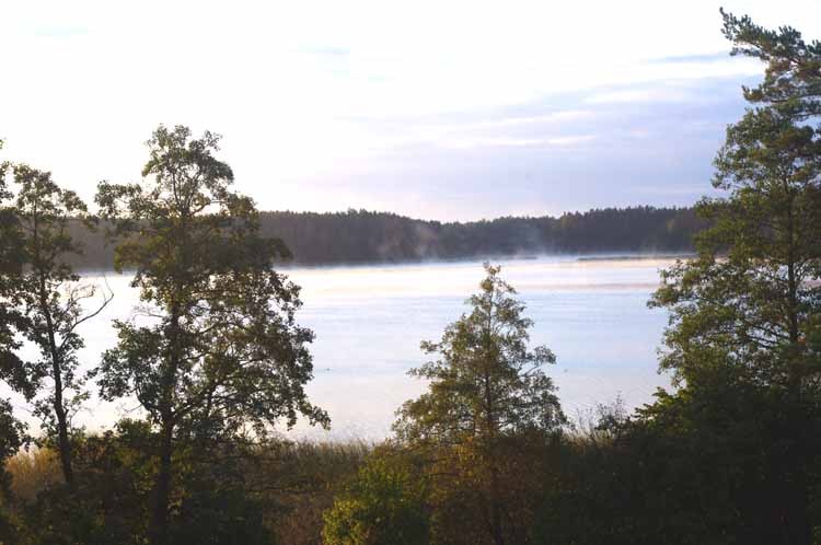 Widok z balkonu,mojego.jpg