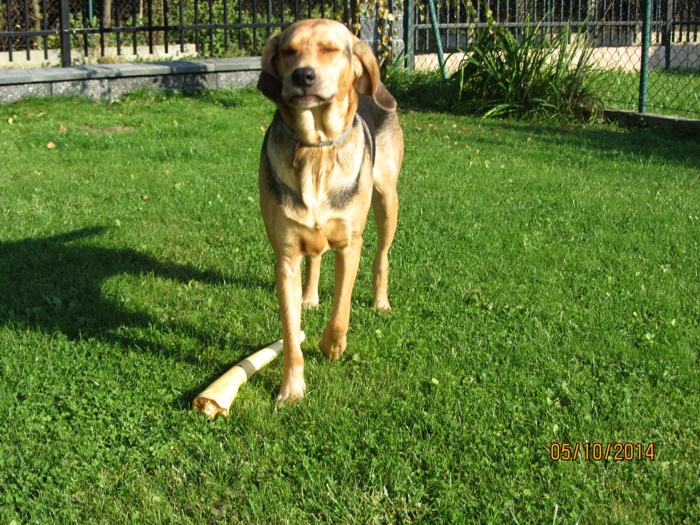 pixi 060p.jpg