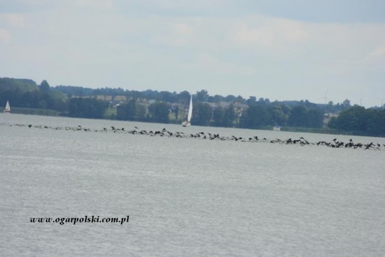 Mazurskie klimaty.