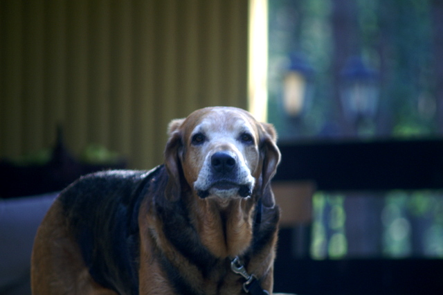 PICT0014.JPG