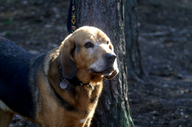 PICT0060.JPG