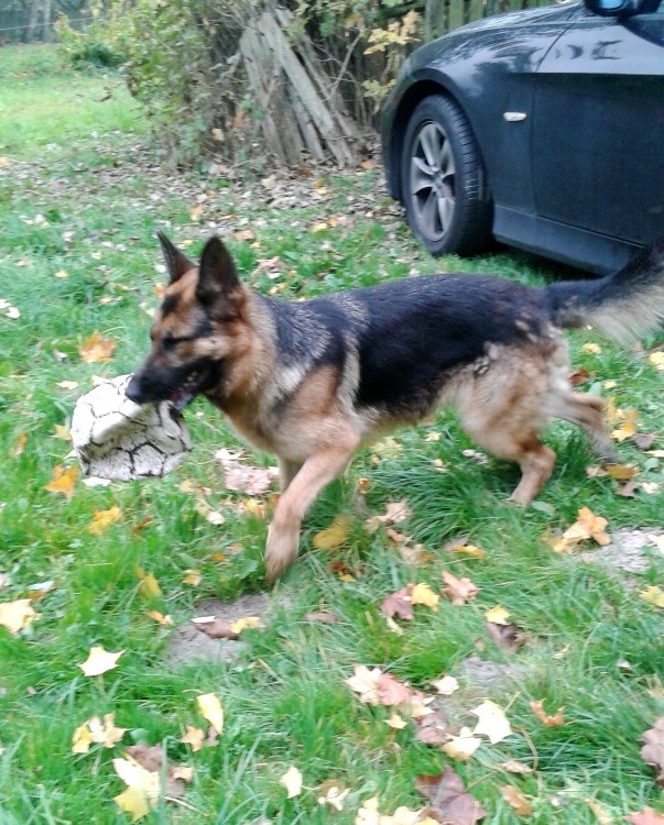 20141012_130728.jpg