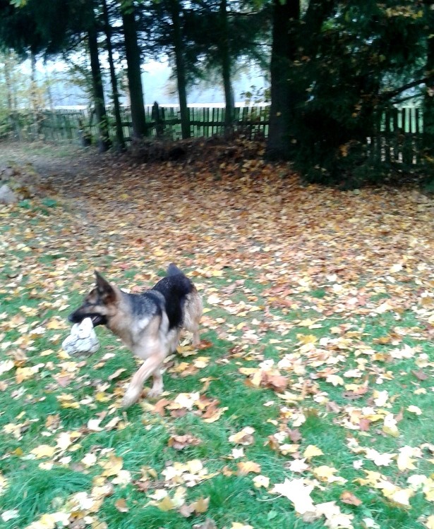 20141012_130826.jpg