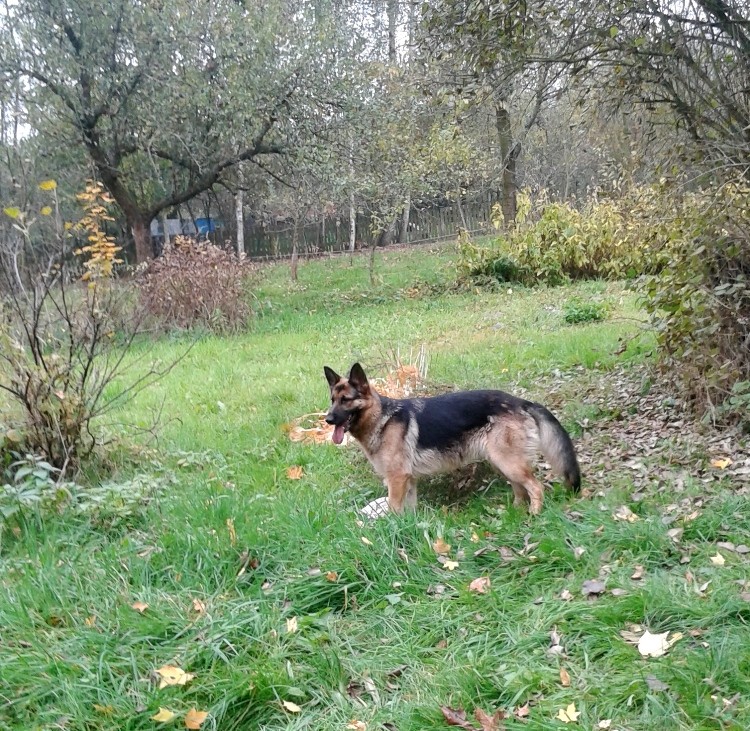 20141012_130849.jpg