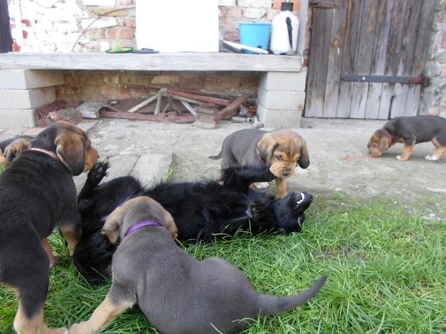 SAM_0856.JPG