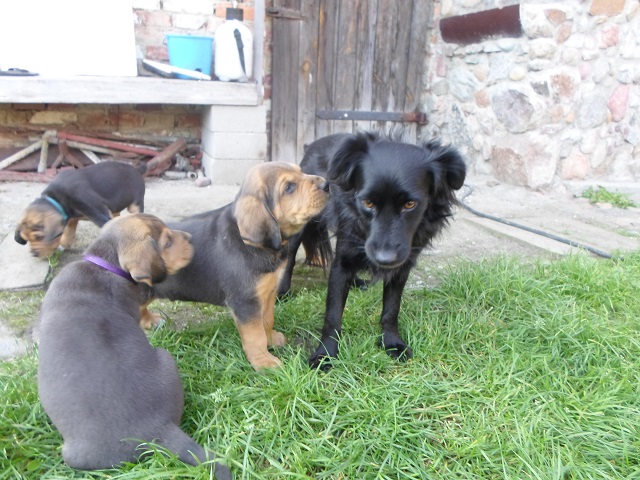SAM_0857.JPG